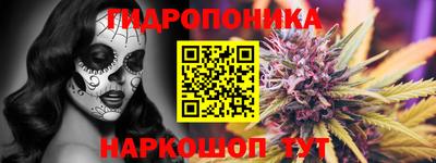 стаф Тара
