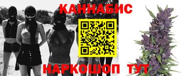 стаф Тара