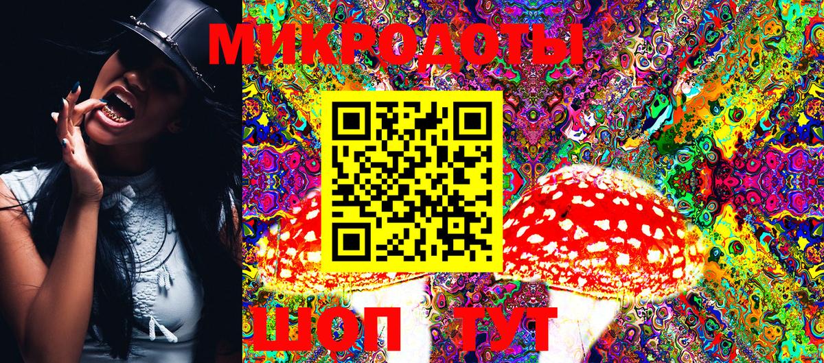 Псилоцибиновые грибы Psilocybe Липецк